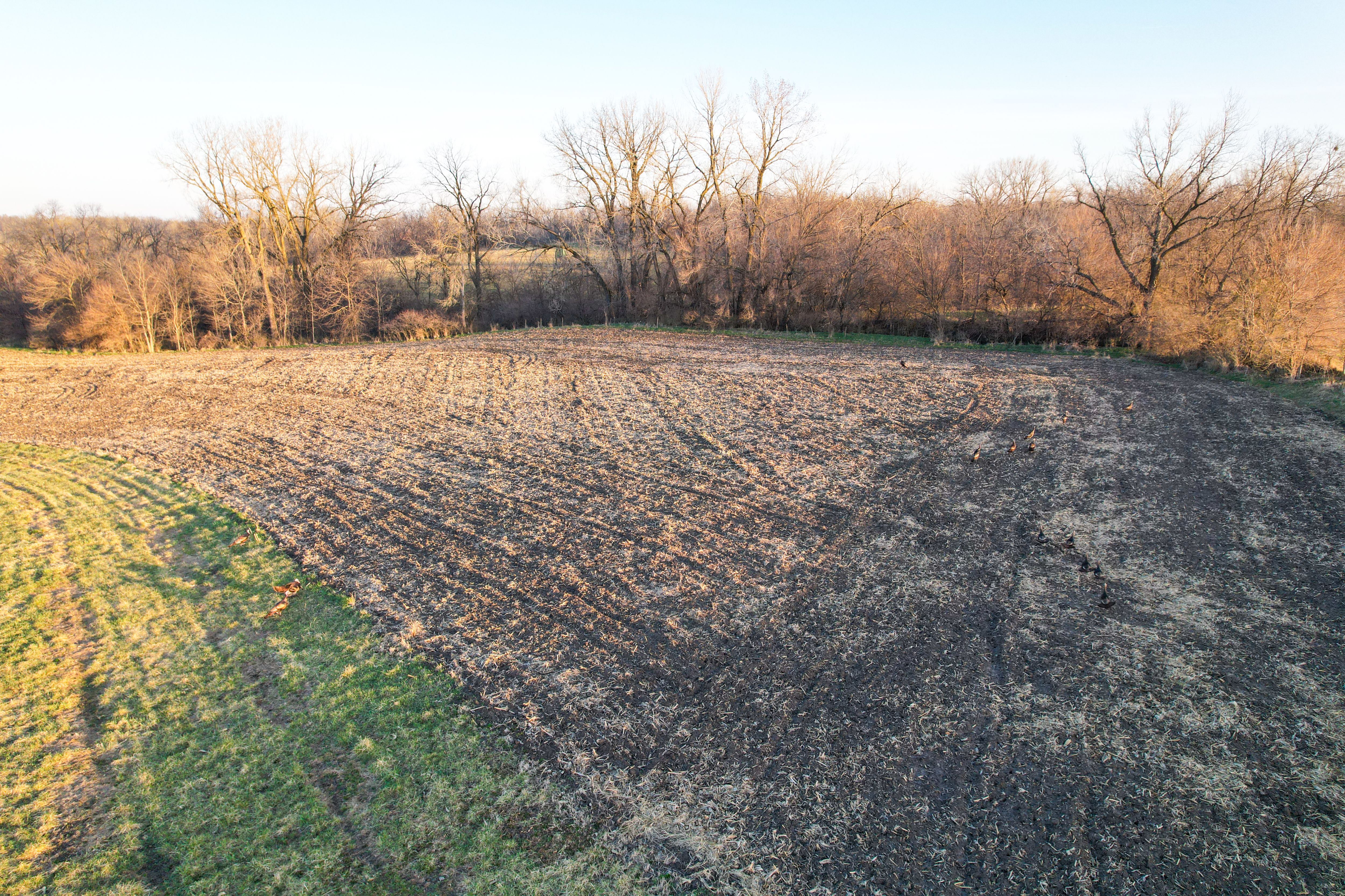 Listing Photo: Photo Mar 30 2026, 7 37 00 AM